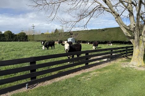 Photo of property in 82 Gartartan Road, Tinwald, Ashburton, 7774