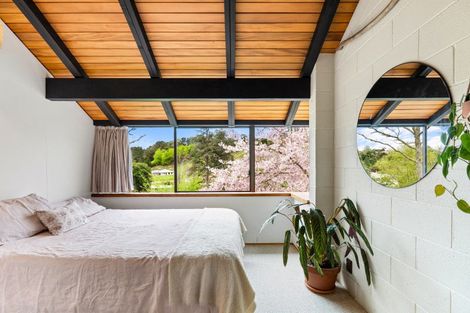 Photo of property in 17 Toop Street, Havelock North, 4130