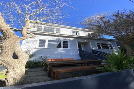 Photo of property in 11 Salisbury Terrace, Mount Cook, Wellington, 6021