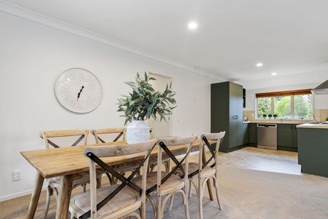 Photo of property in 15 Paine Street, Judea, Tauranga, 3110