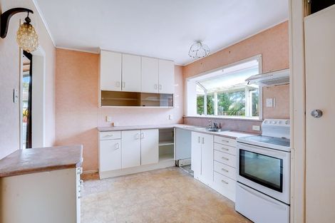 Photo of property in 152 Sandwich Road, St Andrews, Hamilton, 3200