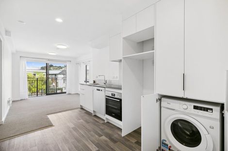 Photo of property in 201/2 Colombo Street, Newtown, Wellington, 6021