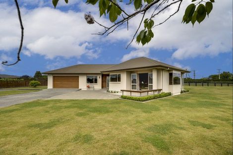 Photo of property in 1316 Southland Road, Longlands, Hastings, 4120