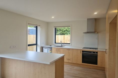 Photo of property in 22 Scully Place, Strathern, 9812