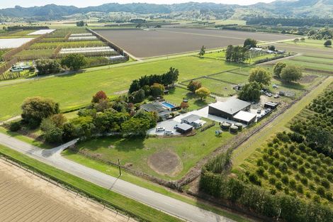Photo of property in 466 Tucker Road, Makauri, Gisborne, 4071