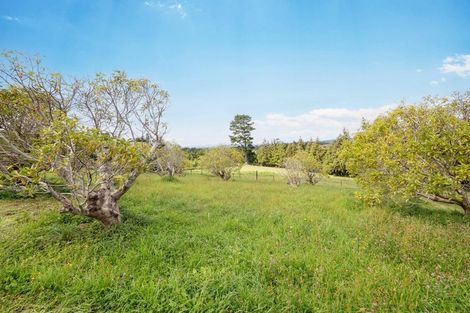 Photo of property in 331 Rea Road, Tahawai, Katikati, 3178