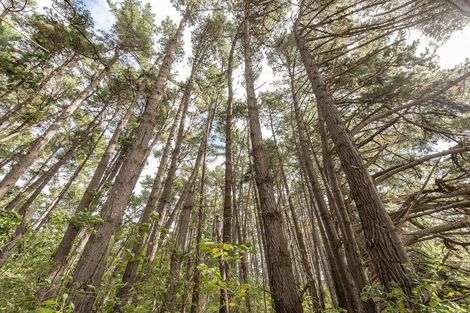 Photo of property in 63 Leinster Avenue, Raumati South, Paraparaumu, 5032