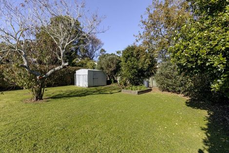 Photo of property in 26a Cowling Road, Hurdon, New Plymouth, 4310