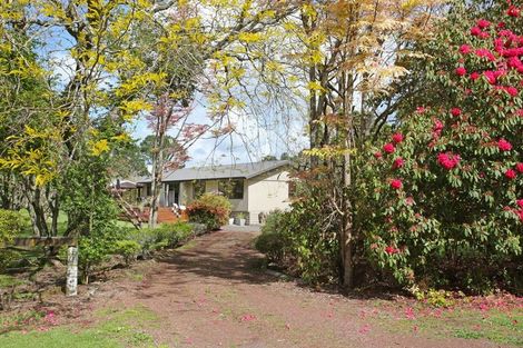 Photo of property in 154 Waipipi Wharf Road, Pollok, Waiuku, 2683