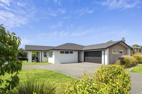 Photo of property in 15 Louise Drive, Ohauiti, Tauranga, 3112