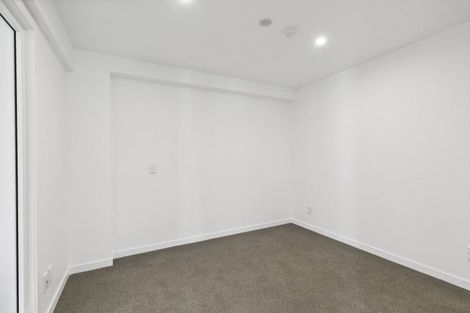 Photo of property in 201/2 Colombo Street, Newtown, Wellington, 6021