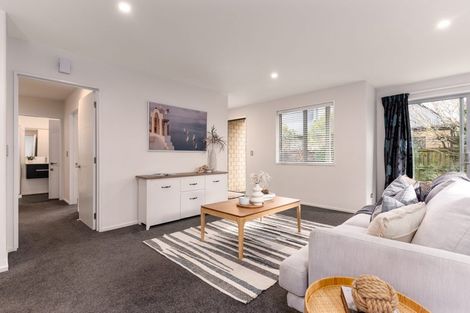 Photo of property in 1b Amstel Lane, Richmond, Christchurch, 8013