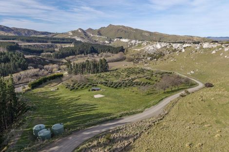 Photo of property in 101 Laidmore Road, Broomfield, 7482