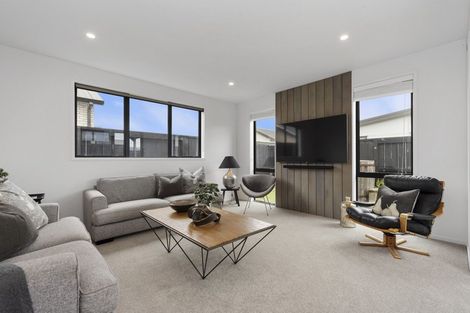 Photo of property in 17 Naismith Street, Chartwell, Hamilton, 3210