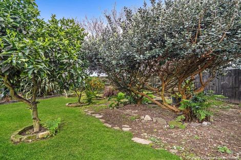 Photo of property in 125 Holland Road, Fairfield, Hamilton, 3214