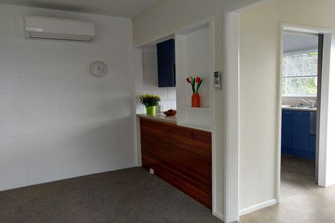 Photo of property in 6f2 Whaui Street, Vogeltown, Wellington, 6021
