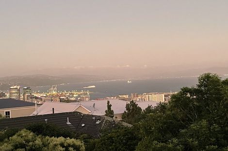 Photo of property in 27a Tanera Crescent, Brooklyn, Wellington, 6021