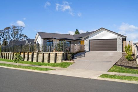 Photo of property in 15 Hass Drive, Ohauiti, Tauranga, 3112