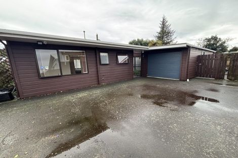 Photo of property in 30a Miro Street, Takaro, Palmerston North, 4410