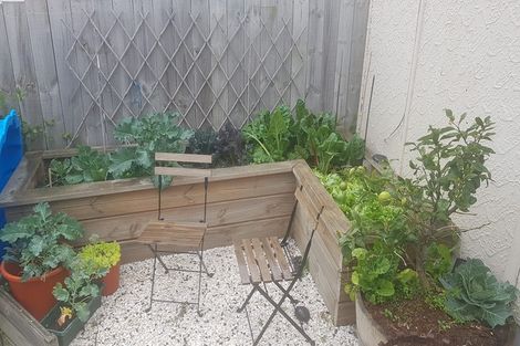 Photo of property in 1 Campbell Road, Mount Maunganui, 3116