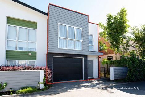 Photo of property in 167u1 Nixon Street, Hamilton East, Hamilton, 3216