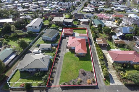 Photo of property in 209 Ohaupo Road, Glenview, Hamilton, 3206