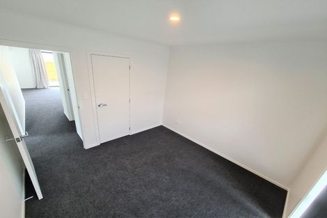 Photo of property in 1/2 Summit Terrace, Dinsdale, Hamilton, 3204