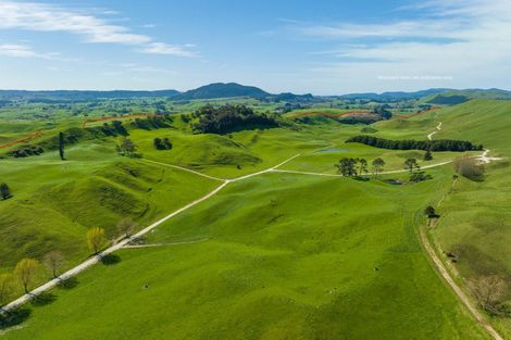 Photo of property in 385 Whirinaki Valley Road, Ngakuru, Rotorua, 3077