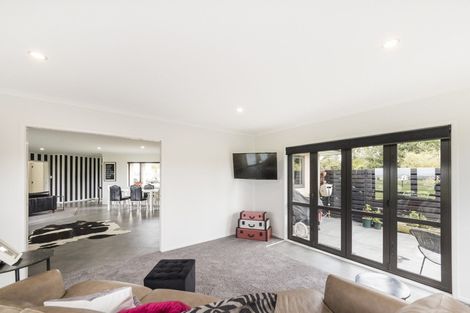 Photo of property in 317a Mount Biggs Road, Halcombe, Feilding, 4779