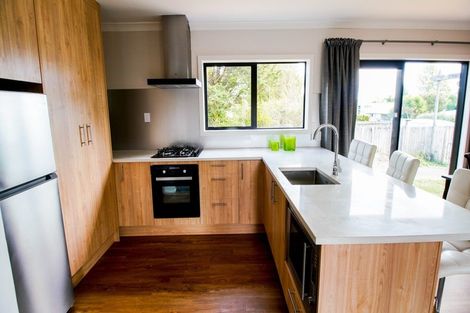 Photo of property in 117a Miro Street, Ohakune, 4625