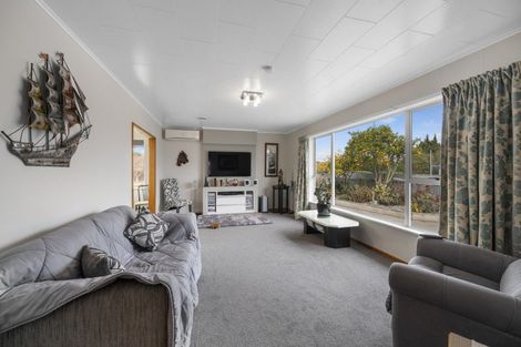 Photo of property in 36 Southwark Avenue, Tamatea, Napier, 4112