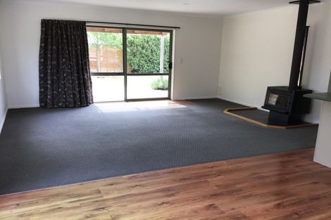 Photo of property in 8 Hartley Court, Cromwell, 9310