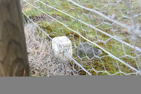 Photo of property in 5 Harris Place, Twizel, 7901