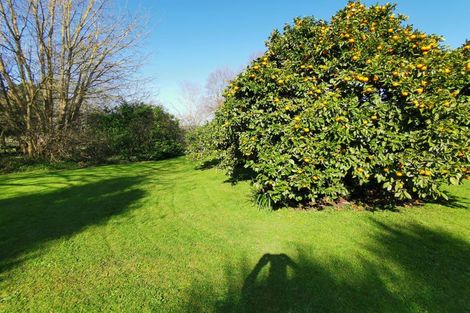 Photo of property in 48 Macky Road, Pirongia, Te Awamutu, 3876