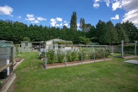 Photo of property in 117 Main Road, Tirau, 3410