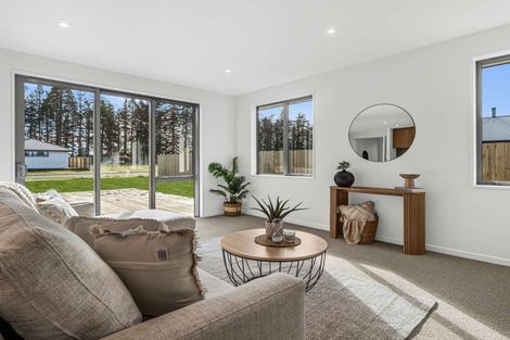 Photo of property in 24 Memorial Crescent, Methven, 7730