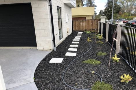Photo of property in 13u1 Manning Street, Hamilton Central, Hamilton, 3204