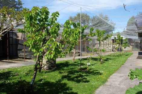 Photo of property in 245 Pukeuri-oamaru Road, Pukeuri, Oamaru, 9493