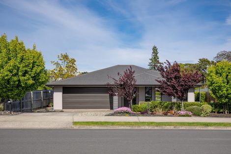 Photo of property in 54 Fairose Drive, Richmond, 7020