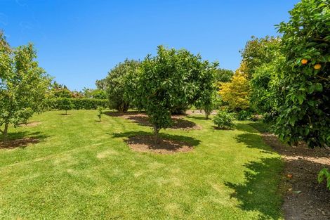 Photo of property in 17 Wallace Place, Tauriko, Tauranga, 3110