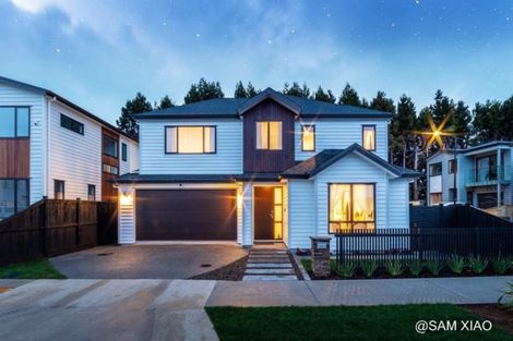 Photo of property in 20 Silvereye Road, Hobsonville, Auckland, 0616