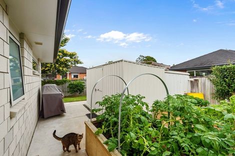 Photo of property in 11 Allendale Place, Morrinsville, 3300