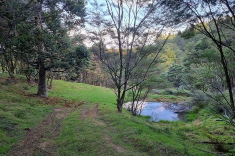 Photo of property in 389 Rimmer Road, Helensville, 0875