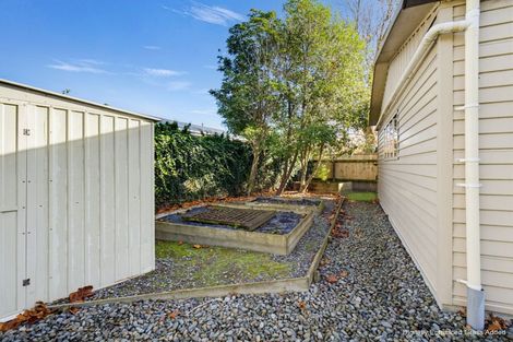 Photo of property in 47 Gemini Avenue, Milson, Palmerston North, 4414