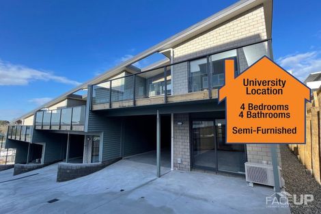 Photo of property in 11u4 Scotland Place, Hillcrest, Hamilton, 3216