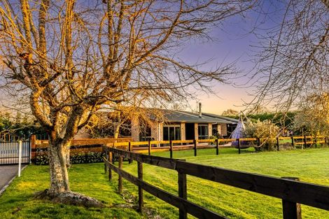 Photo of property in 161 Hautapu Road, Pukemoremore, Cambridge, 3493