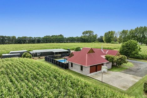 Photo of property in 164 Otakiri Road, Edgecumbe, Whakatane, 3192