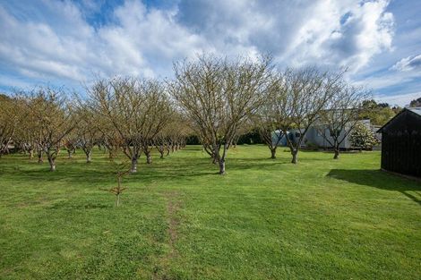 Photo of property in 2 Hill Road, Warrington, Waikouaiti, 9471