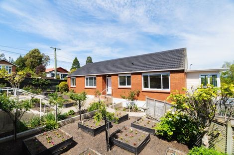 Photo of property in 16 Farquharson Street, Opoho, Dunedin, 9010