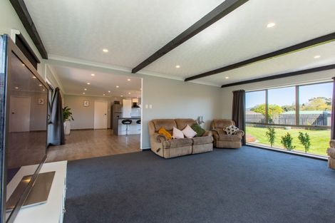 Photo of property in 115 Guy Street, Dannevirke, 4930